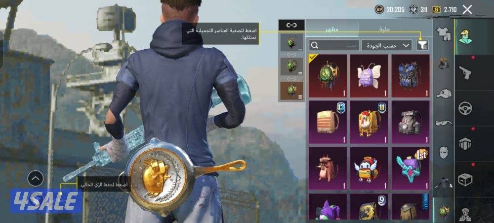 حساب ببجي ماشاء الله قوي4