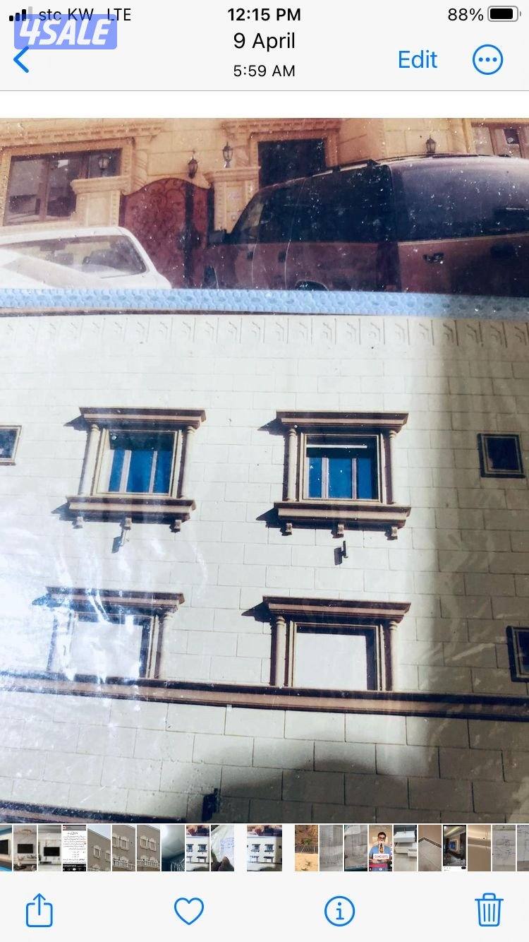 نسيم الصباغ4