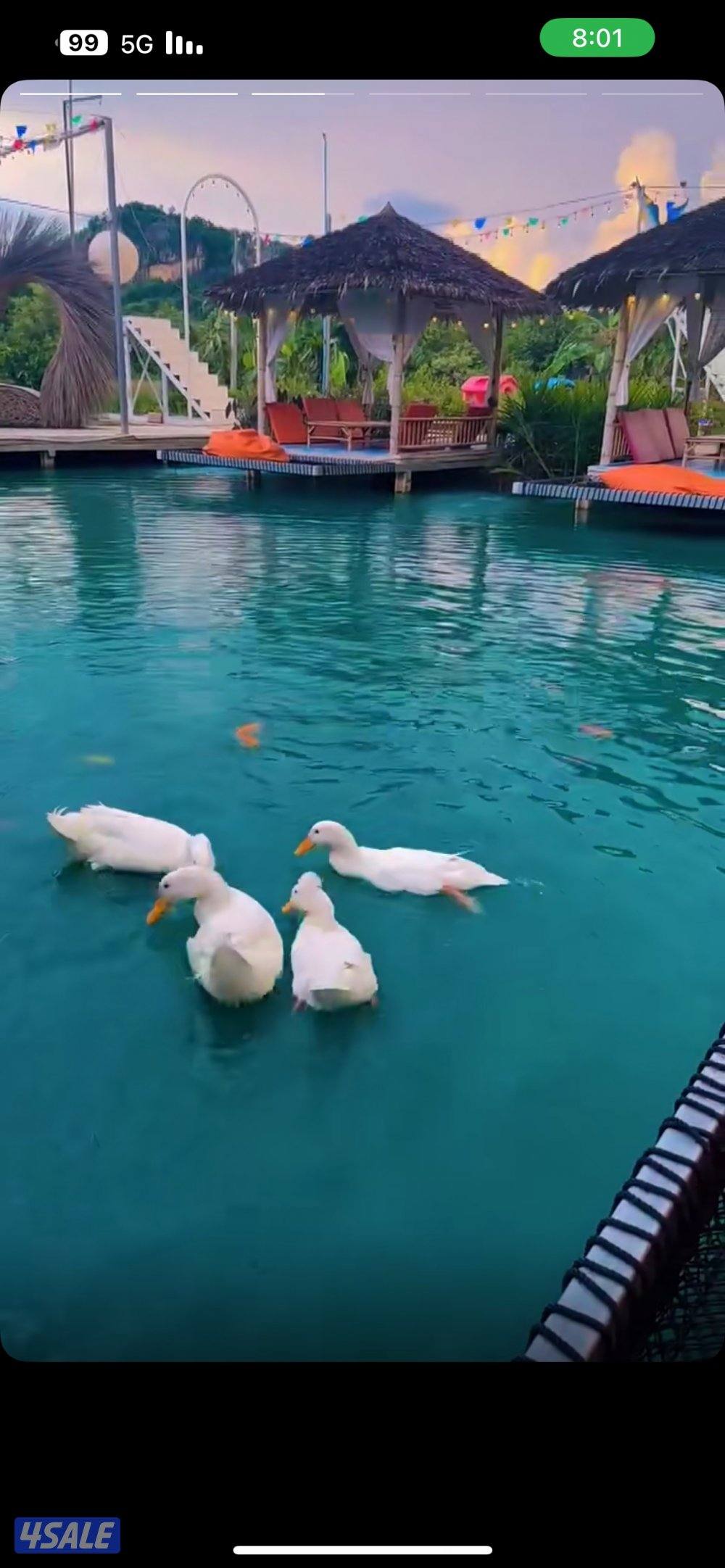 للبيع عفش شقه كامل0