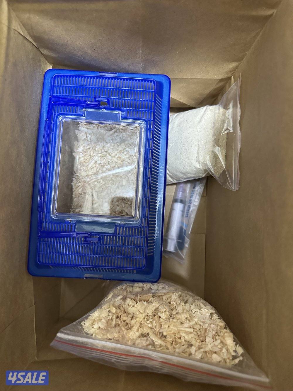 للبيع فروخ لوف بيرد البينو9