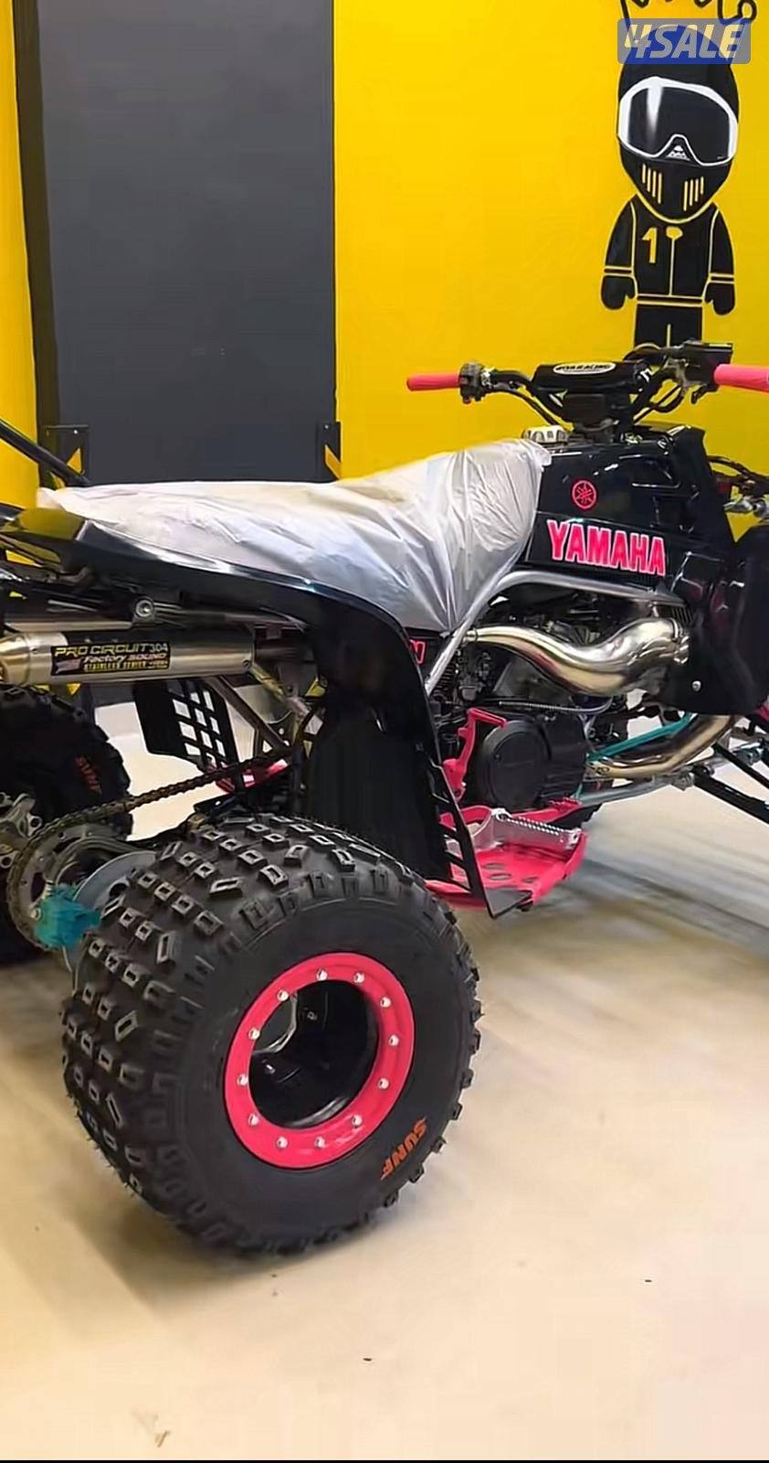 بانشي للبيع0