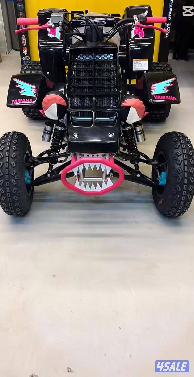 بانشي للبيع2