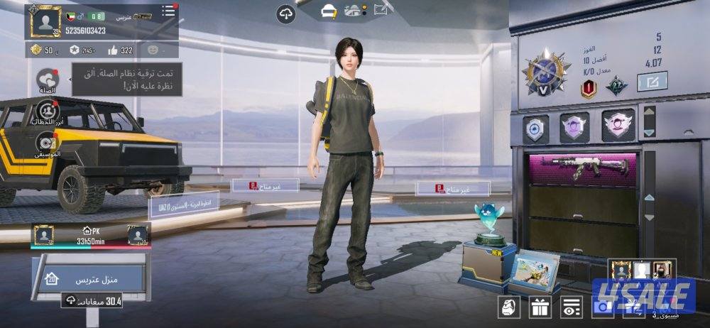 بيع حسابات ببجي2