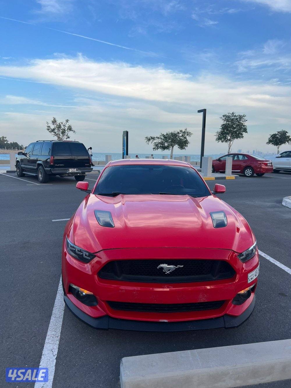 موستنج ٢٠١٥6