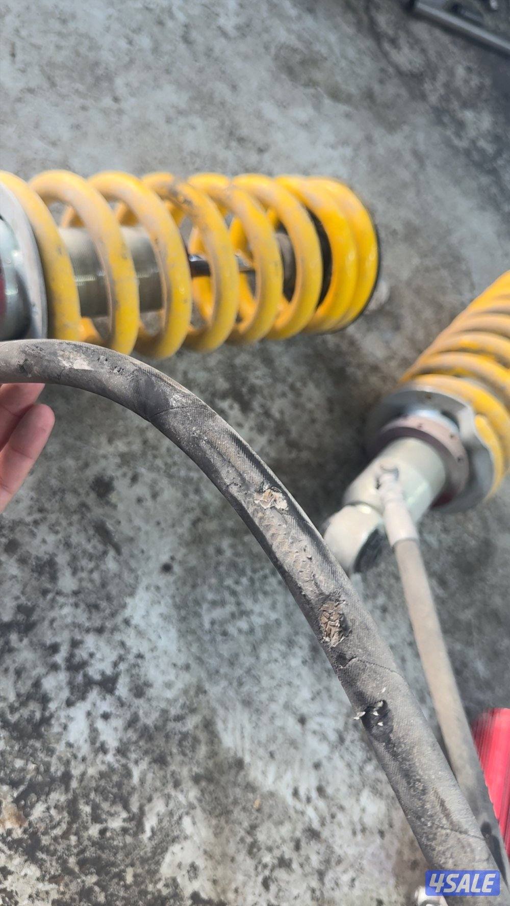 معاون بروفندر بطل خارجي1