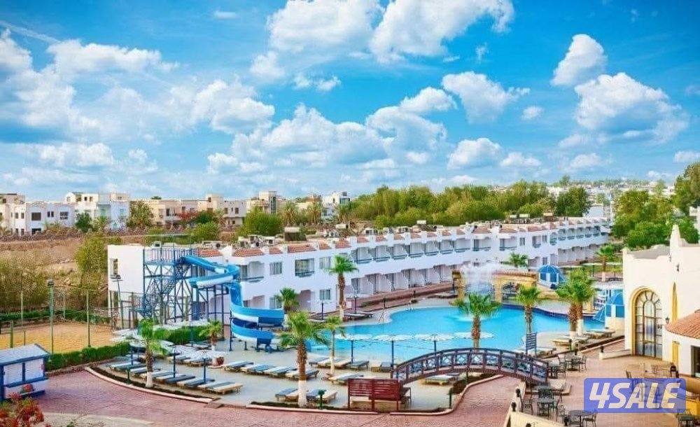 كبري شركات السياحه بالسالميه0