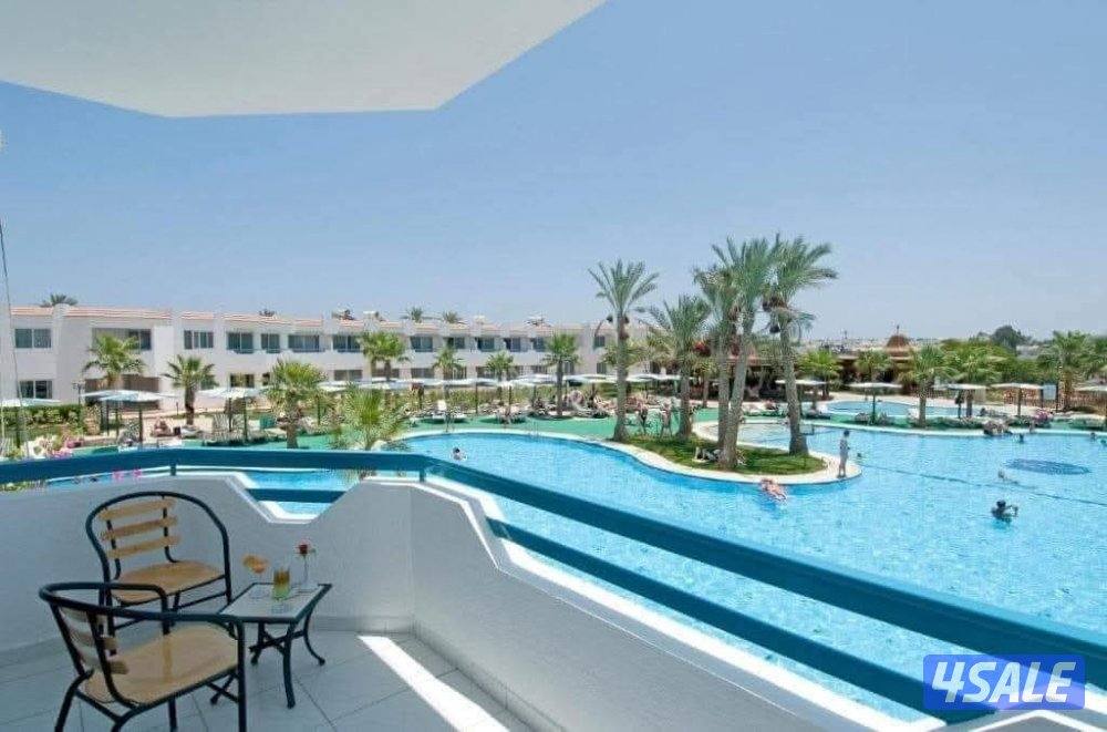 كبري شركات السياحه بالسالميه2