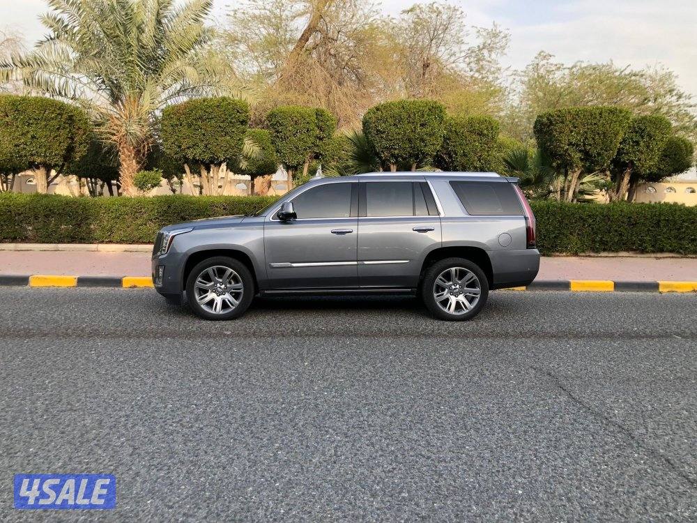 للبيع اسكاليد1