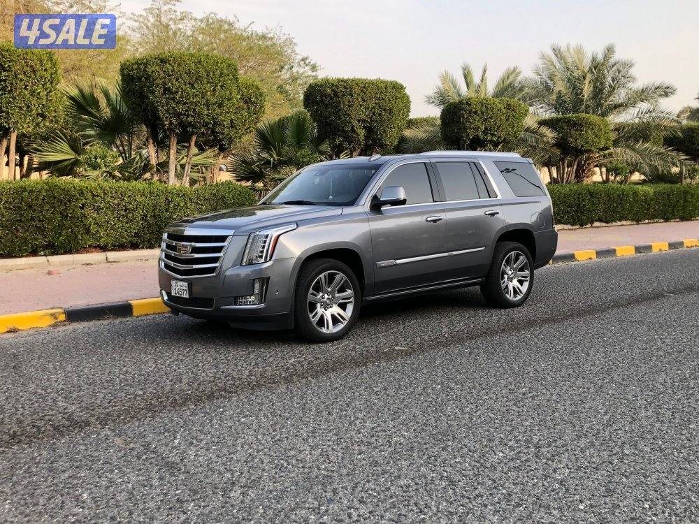 للبيع اسكاليد8