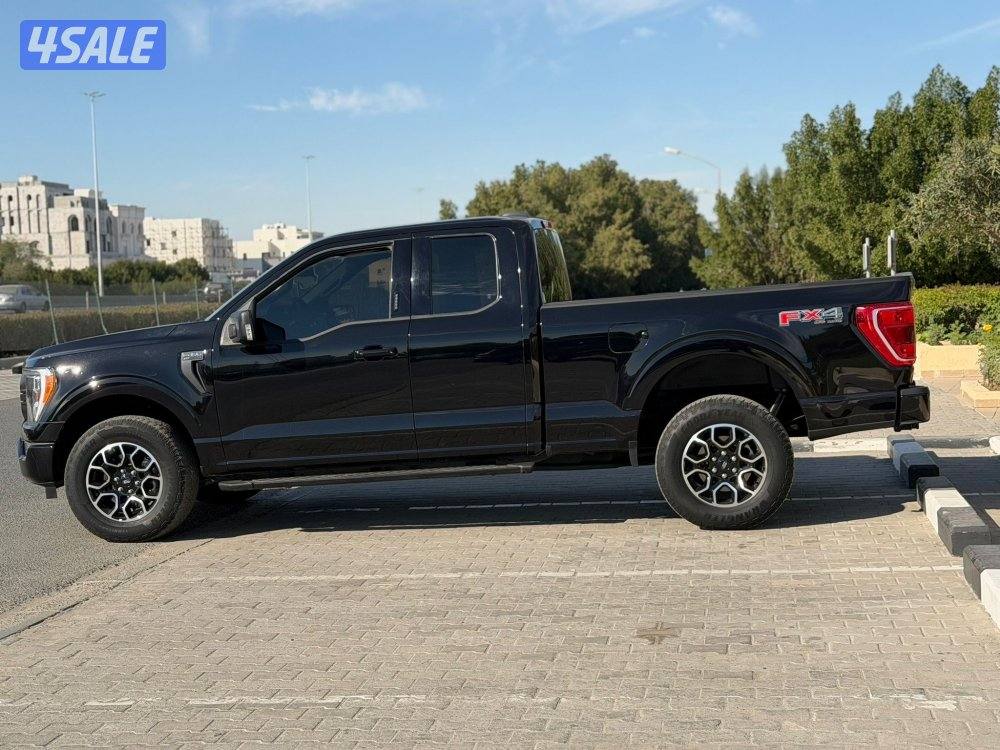 FX4 صبغ الوكالة تحت الكفالة2