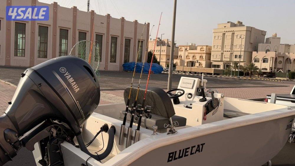 للبيع طراد Bluecat1