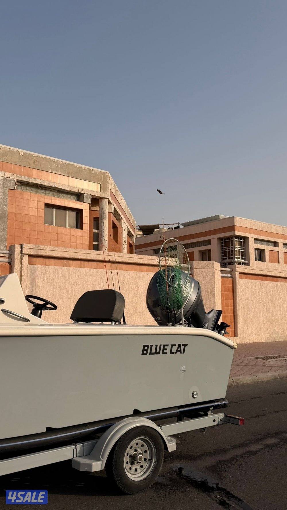 للبيع طراد Bluecat0