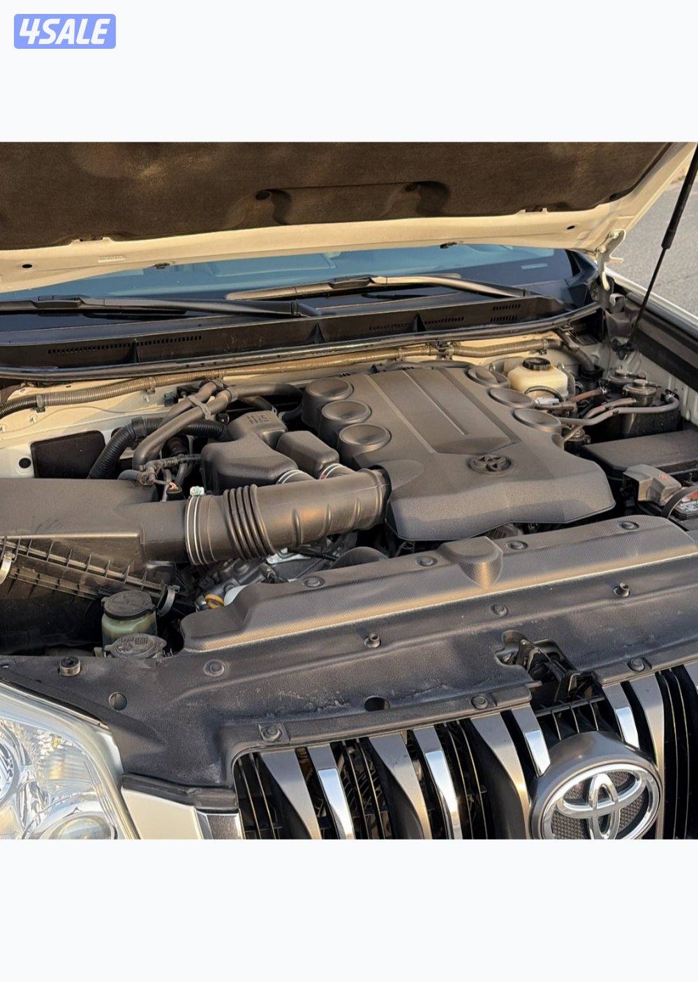 بحالة نادرة جداً7