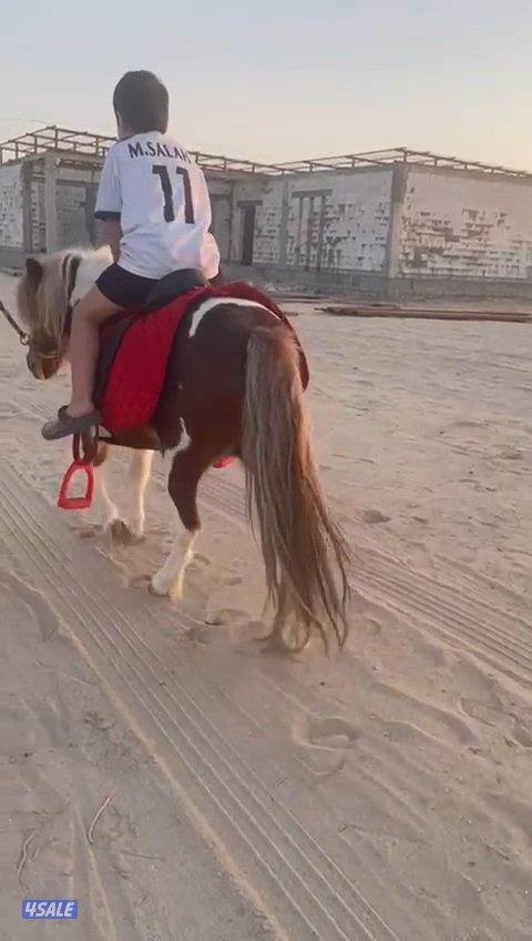 للبيع بونيه3