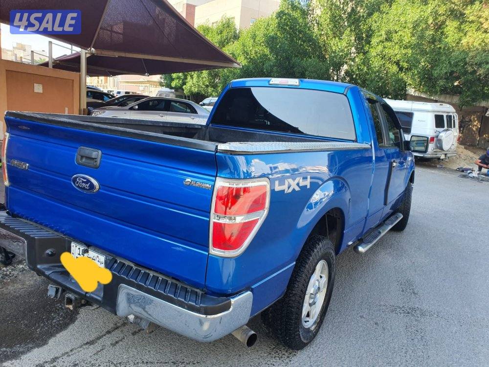 وانيت فورد F1500