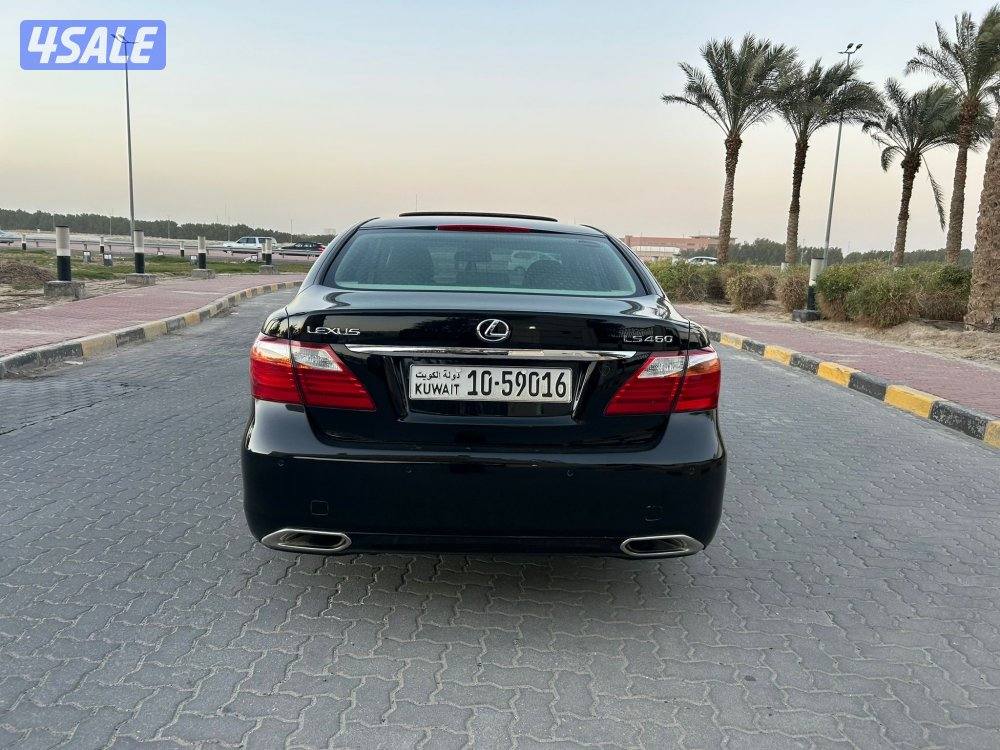 المعاينة العارضية الصناعيه 🛑🛑6