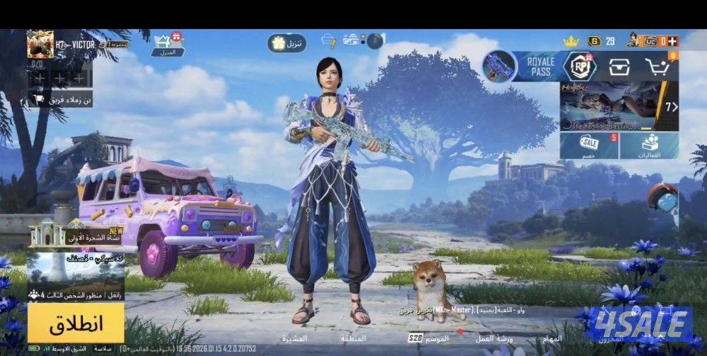 حسابات ببجي باسعار رمزيه3