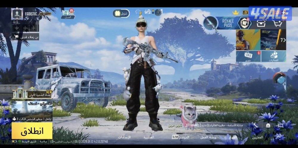 حسابات ببجي باسعار رمزيه5