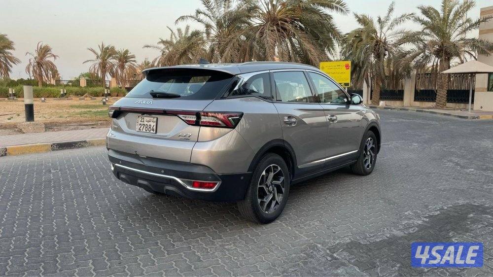 للمعاينة العارضية الحرفية3