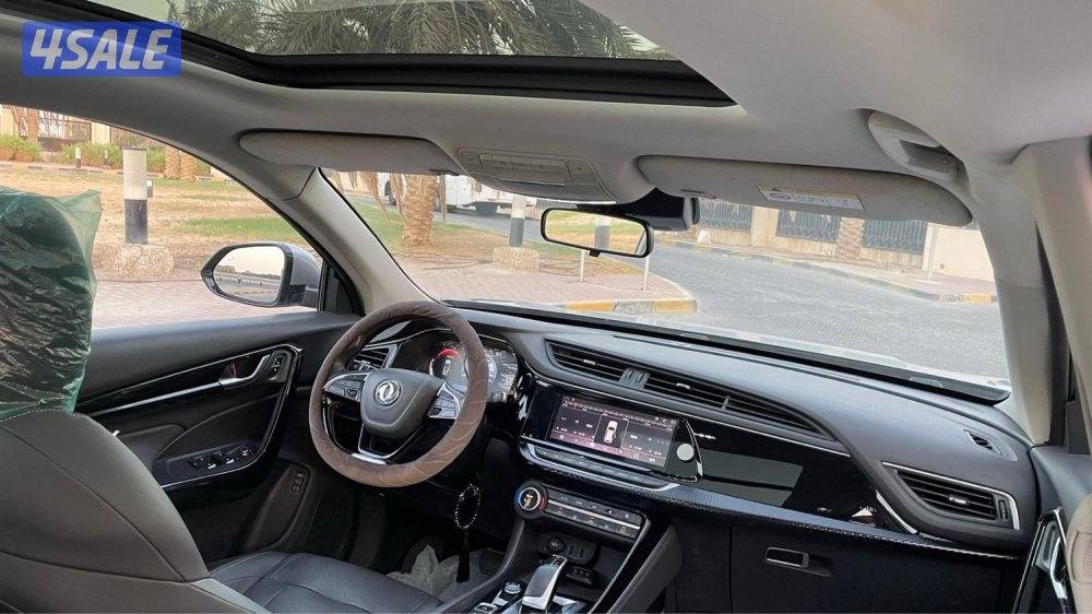 للمعاينة العارضية الحرفية6