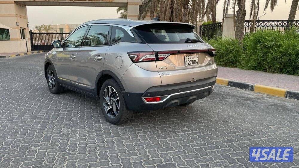 للمعاينة العارضية الحرفية5