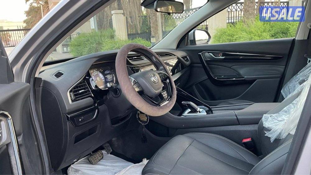 للمعاينة العارضية الحرفية7