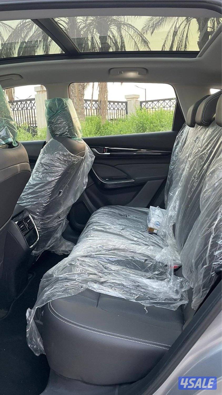 للمعاينة العارضية الحرفية8