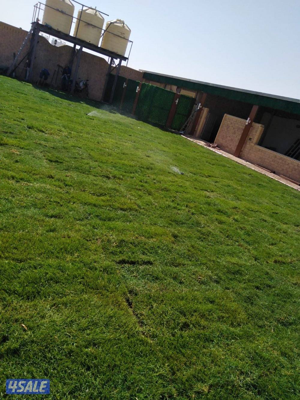 تنسيق حدائق وتركيب السور التركي3