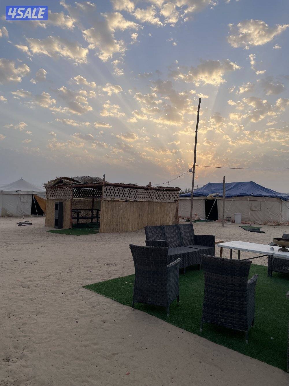 للبيع مخيم11