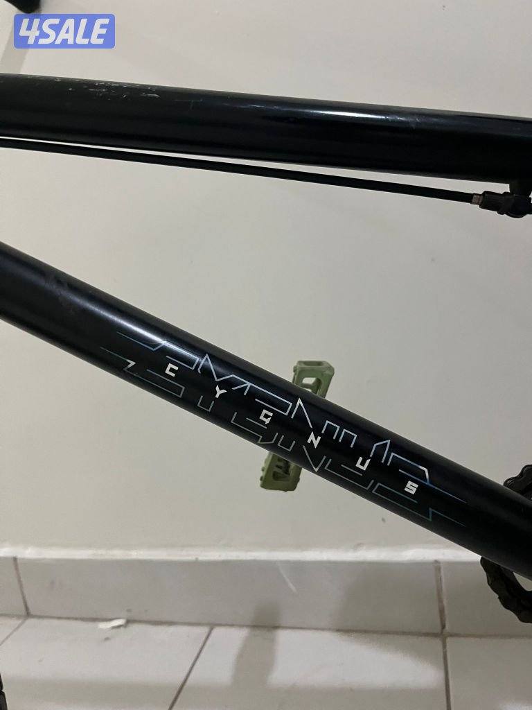 للبيع قاري dk Cygnus اصلي1