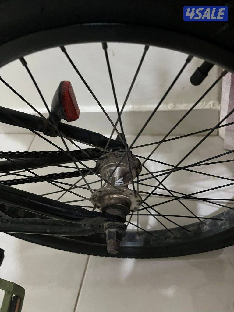 للبيع قاري dk Cygnus اصلي3