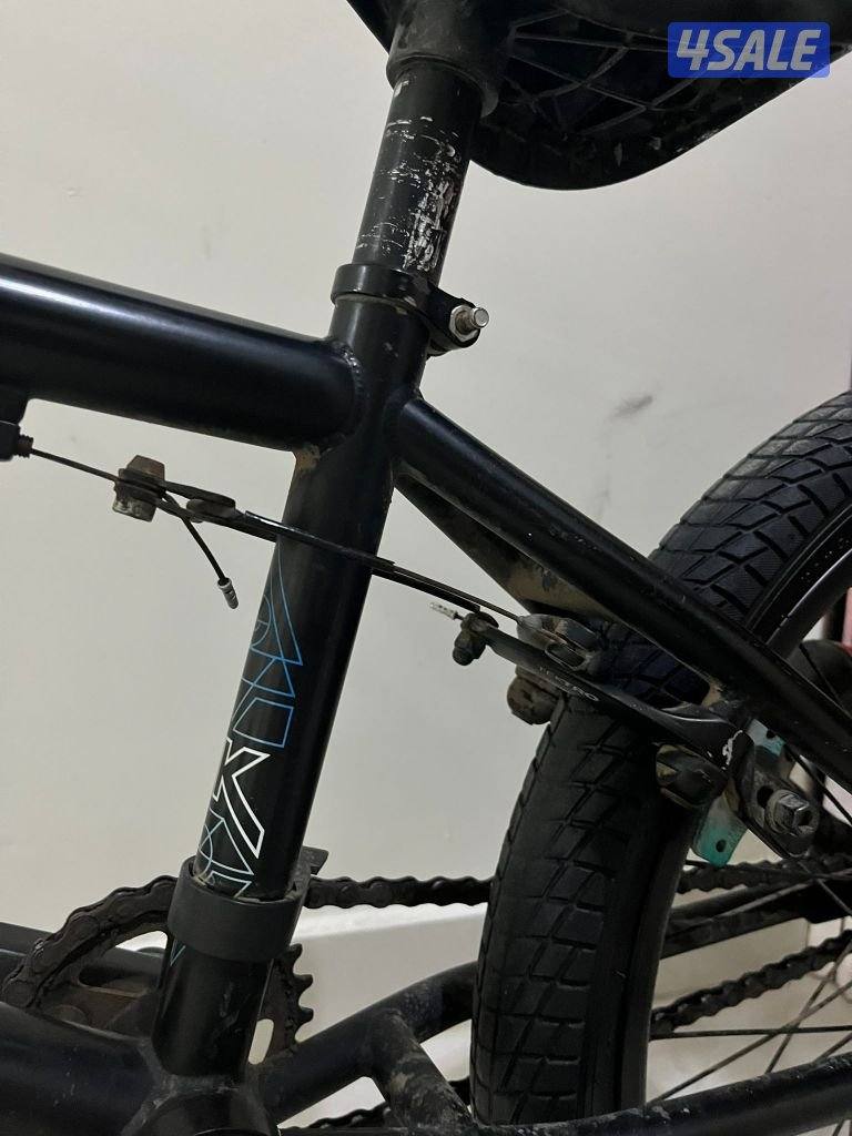 للبيع قاري dk Cygnus اصلي6