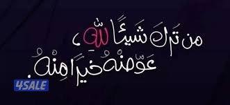لدي رخصه مصرية موثقة ابحث عن عمل في مجال التوصيل0