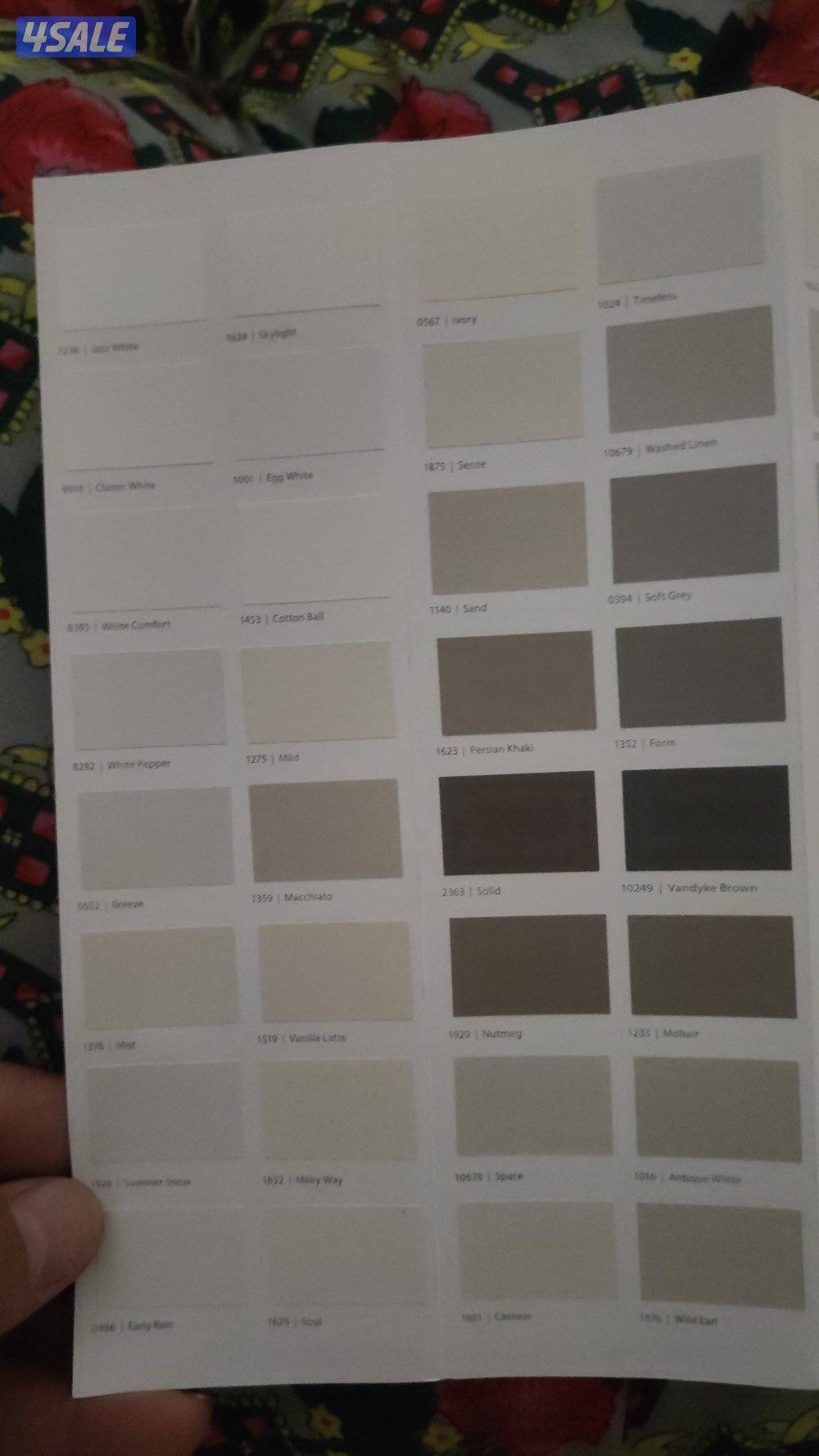 اصباغ وديكورات صبغ داخلي وخارجي ورق جدران سراميك مساح سجما ديكور داخلي0