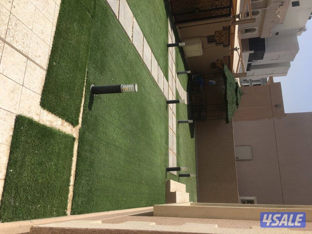 للايجار فيلا بالعقيله9