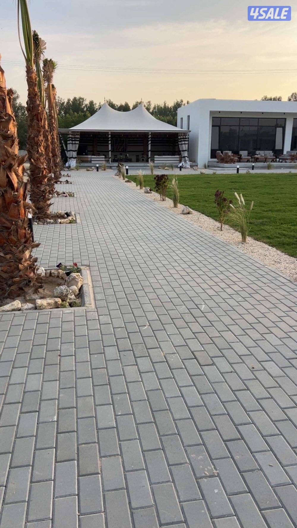 مركز النشمي للفروسية0