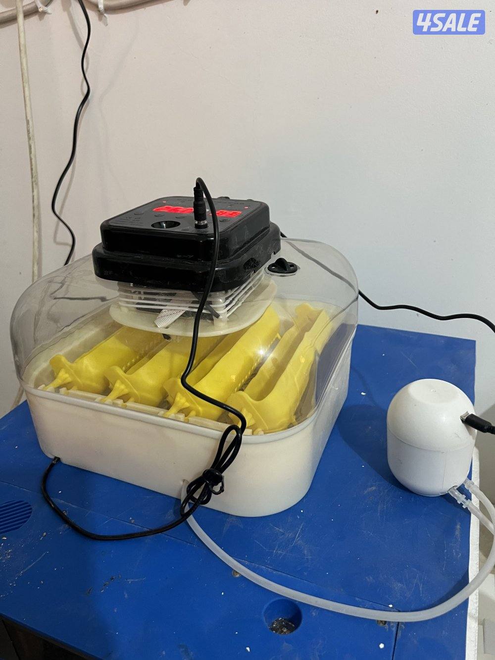 فقاسات الرابطة العالمية جوده للطيور2