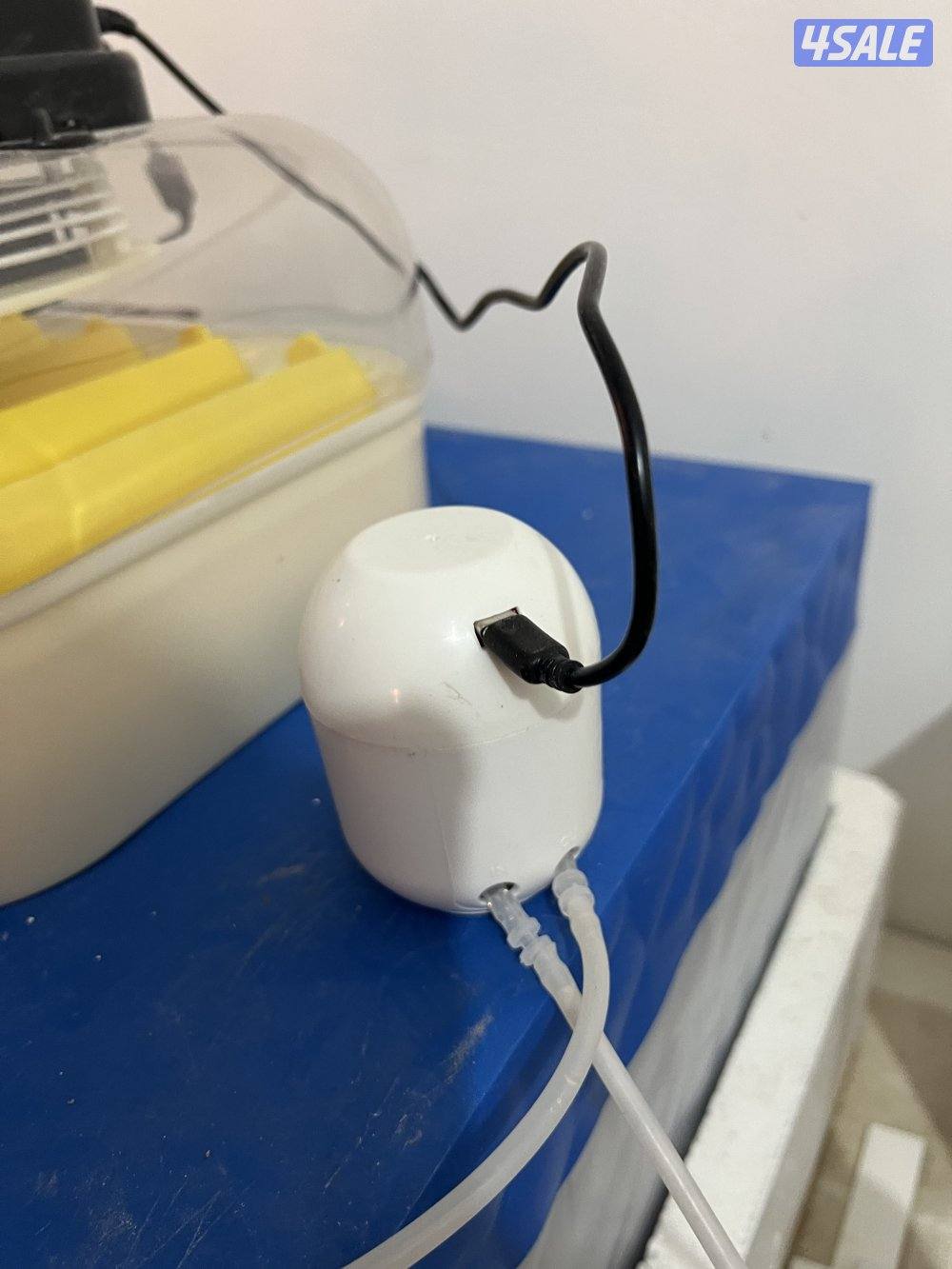 فقاسات الرابطة العالمية جوده للطيور4