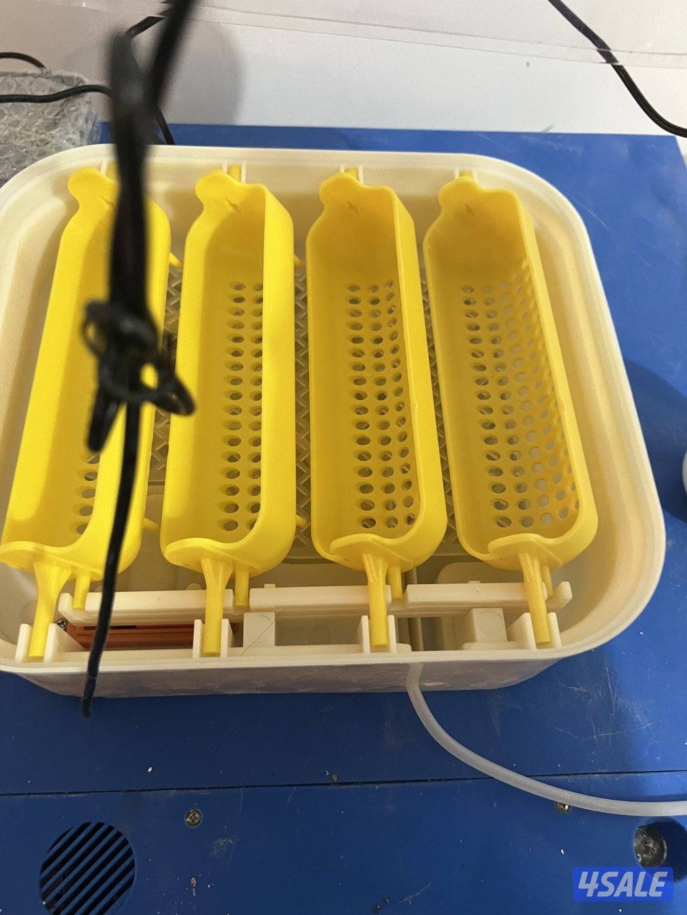 فقاسات الرابطة العالمية جوده للطيور6