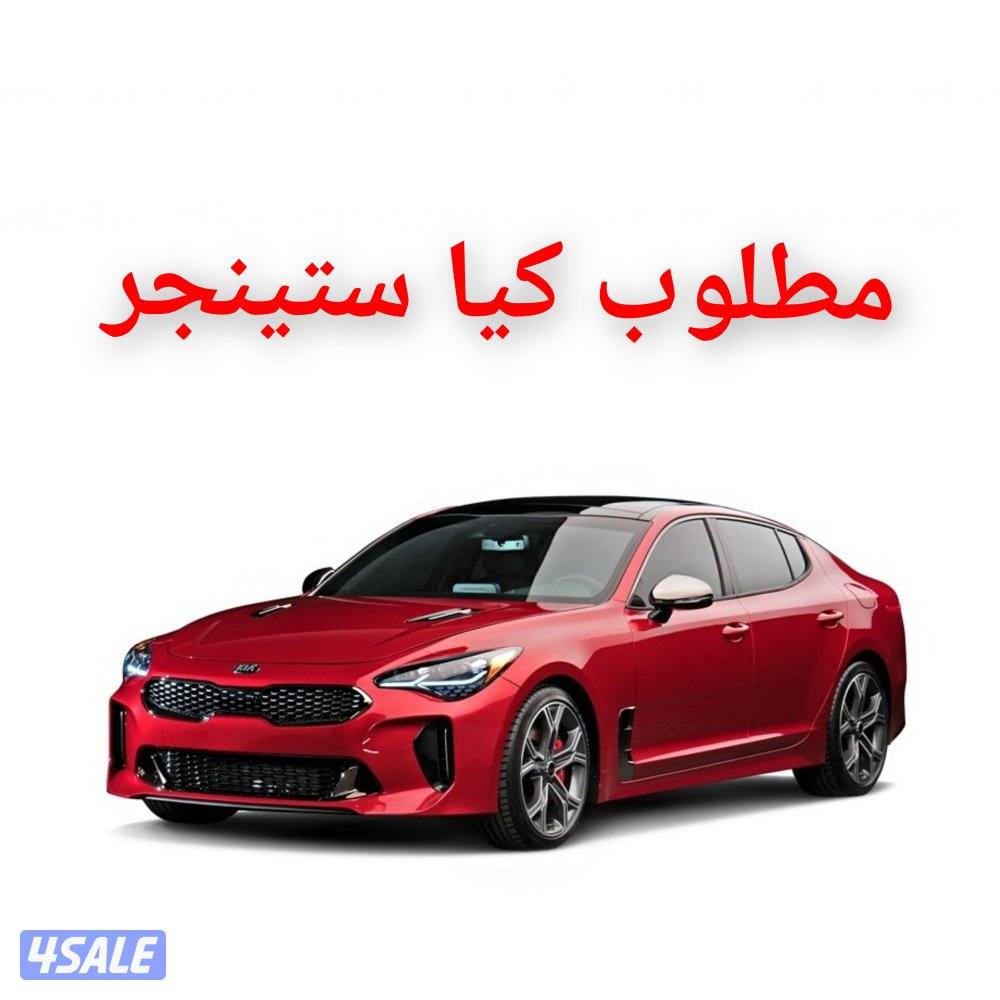 مطلوب اودي  ستينجر شرط الفحص0