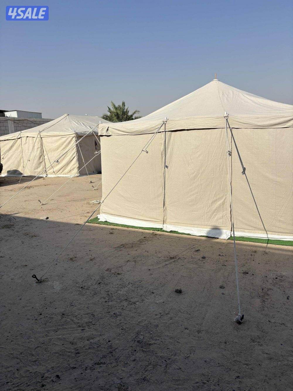 خيام    بيت شعر  ابيض مخطط بأسود   انصال وانساب زفقط9