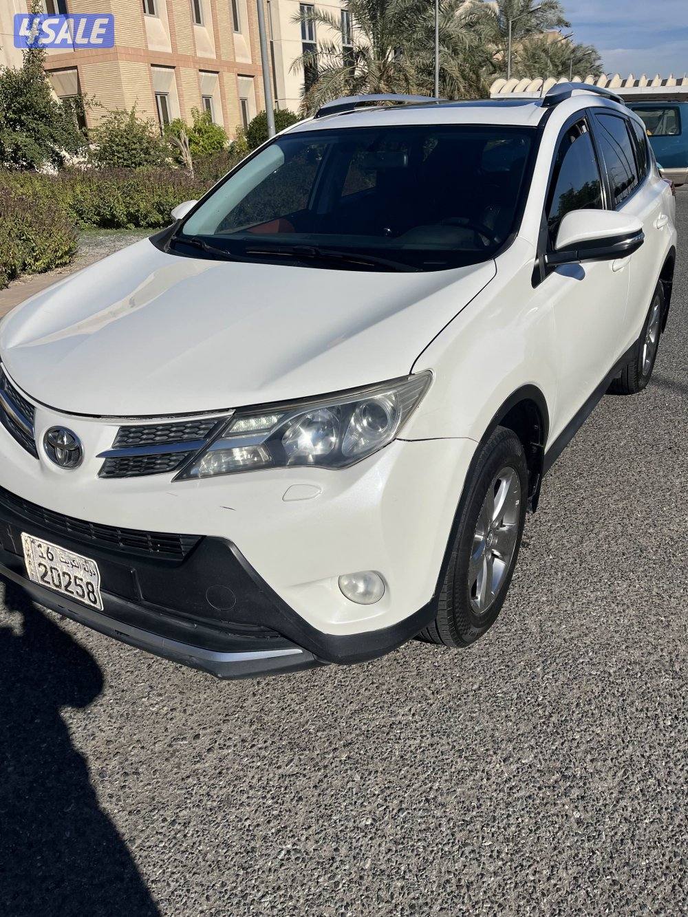 راف فور ٢٠١٣1