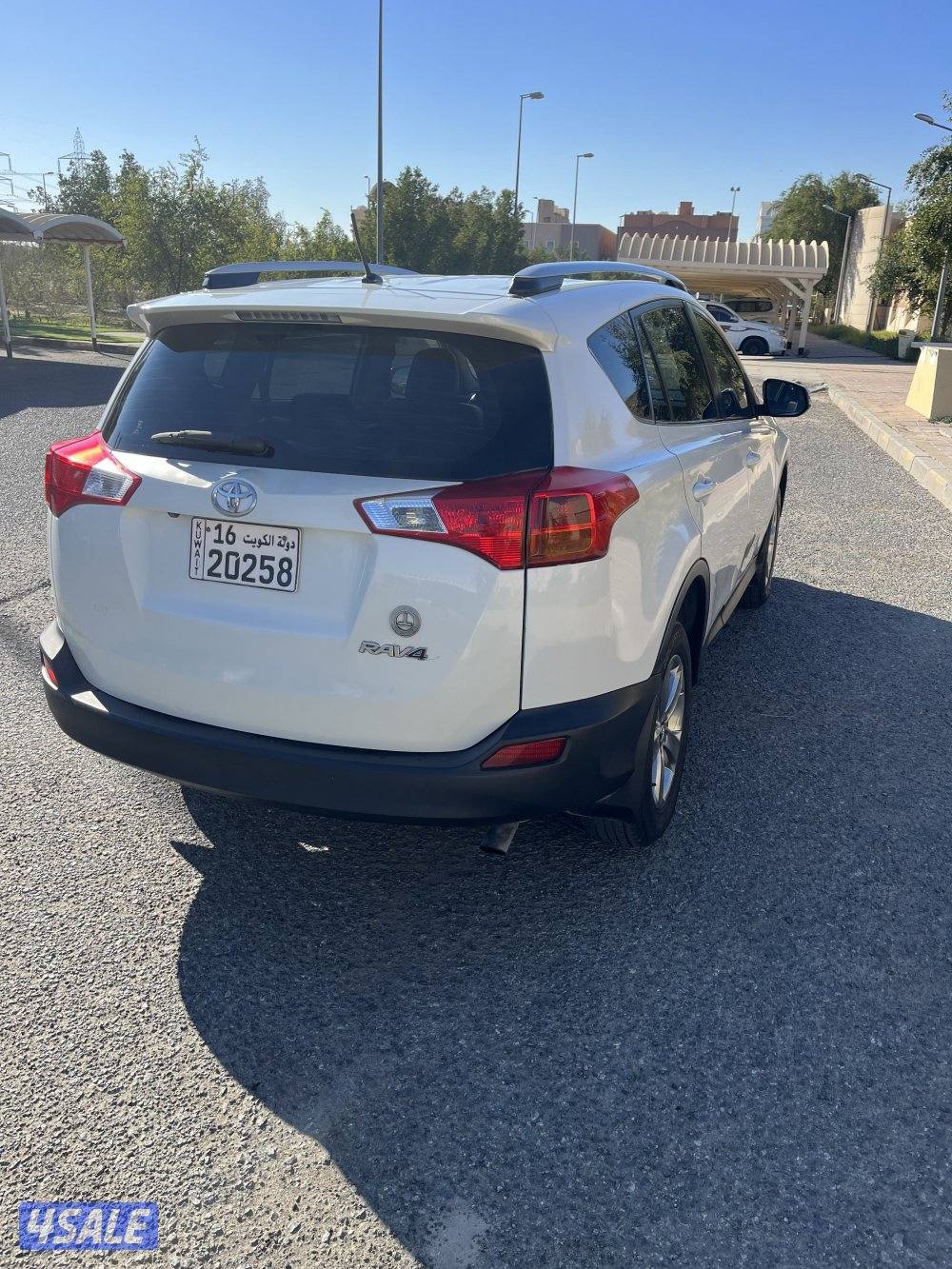 راف فور ٢٠١٣2