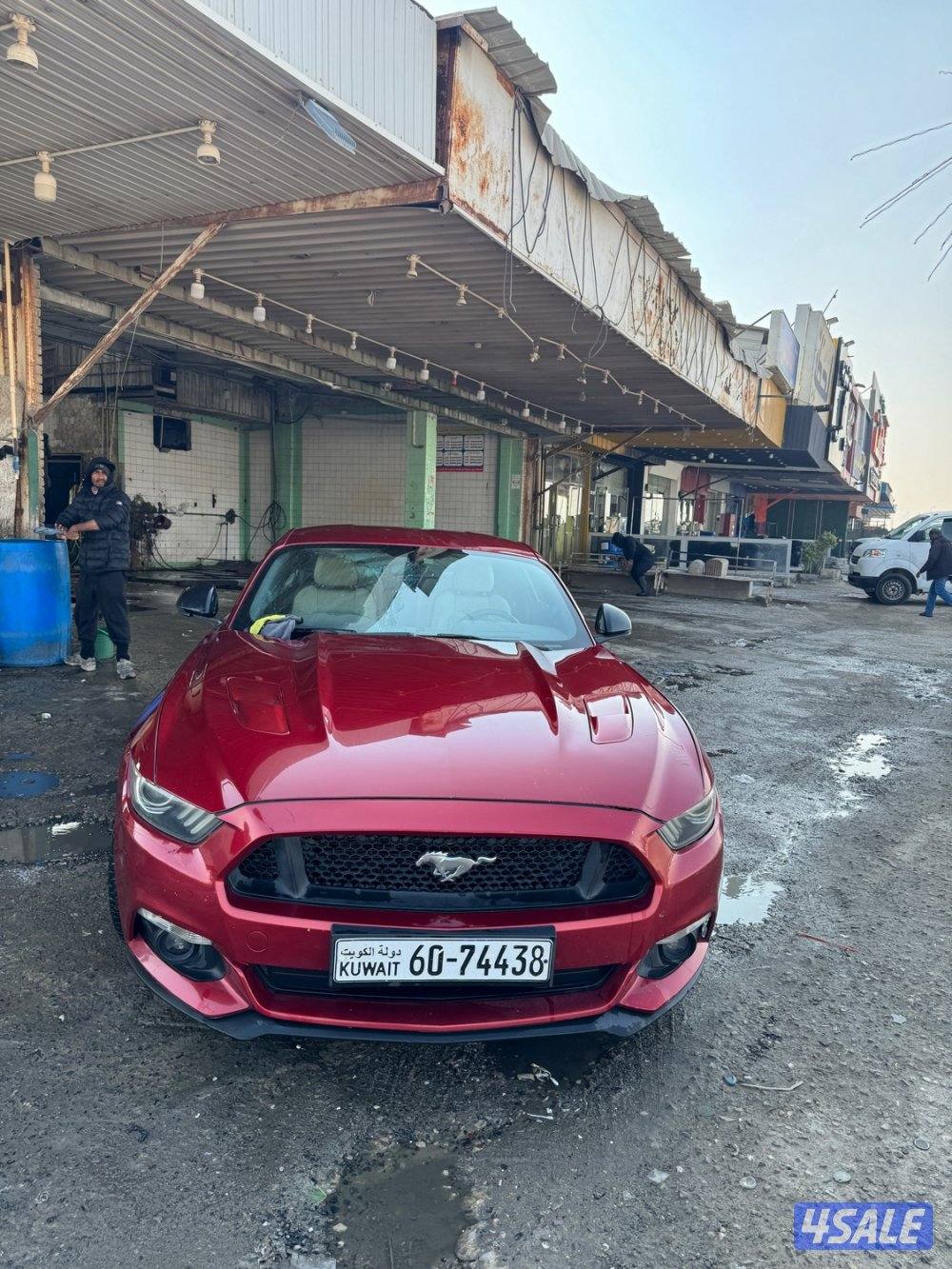 فورد موستنق 5.0 بريميوم0