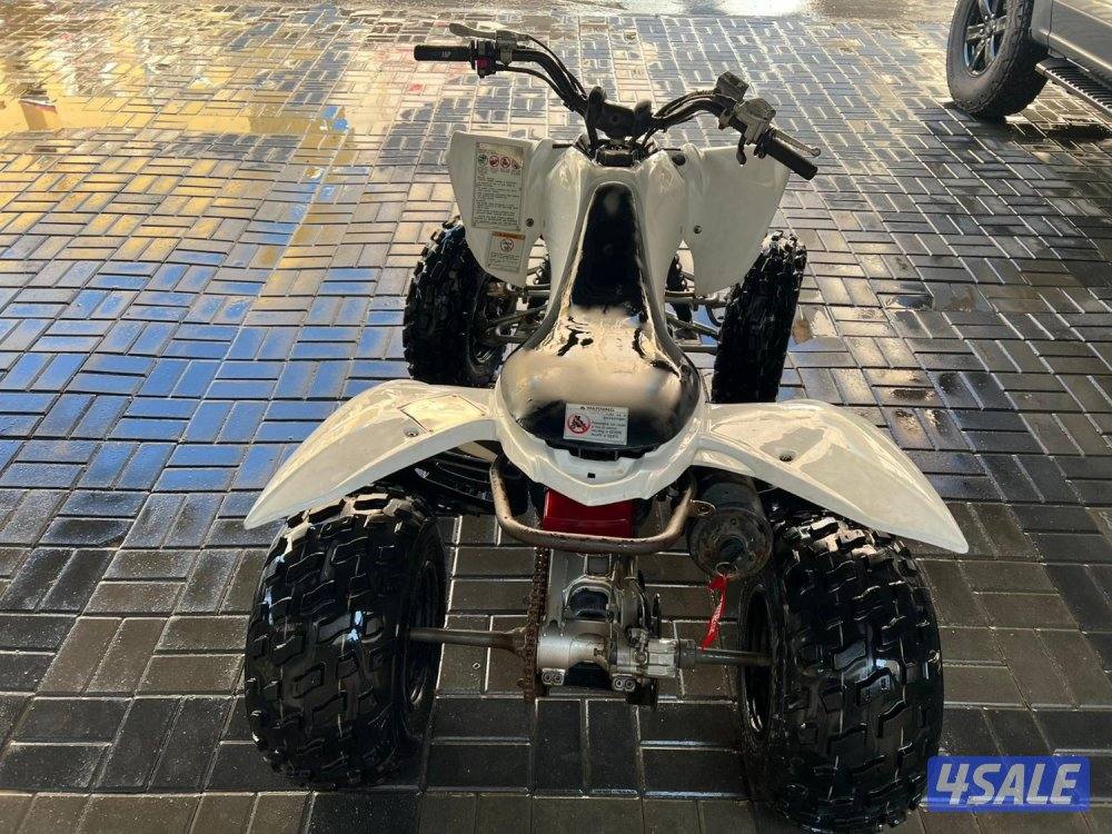 Yamha raptor 2503