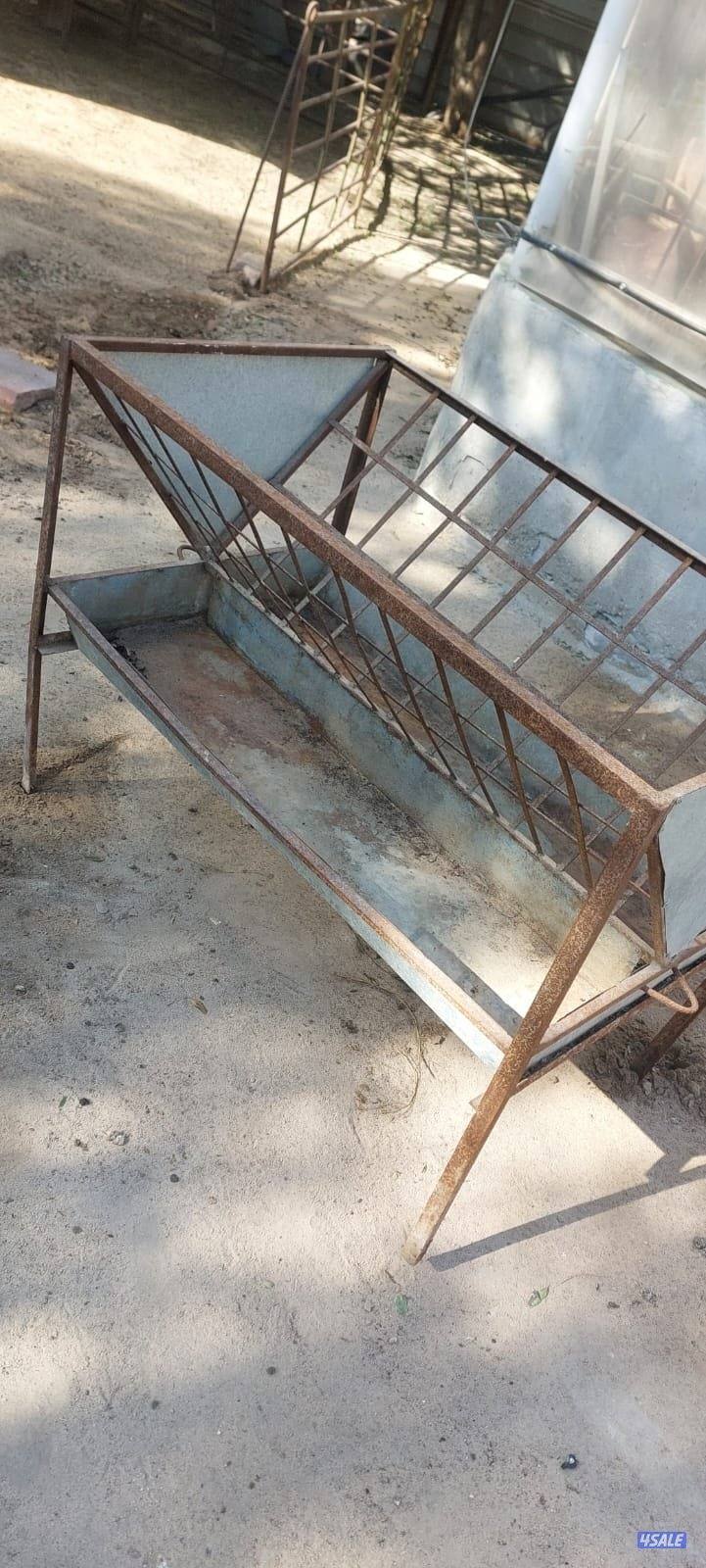 شبوك ورمبه للحلال2