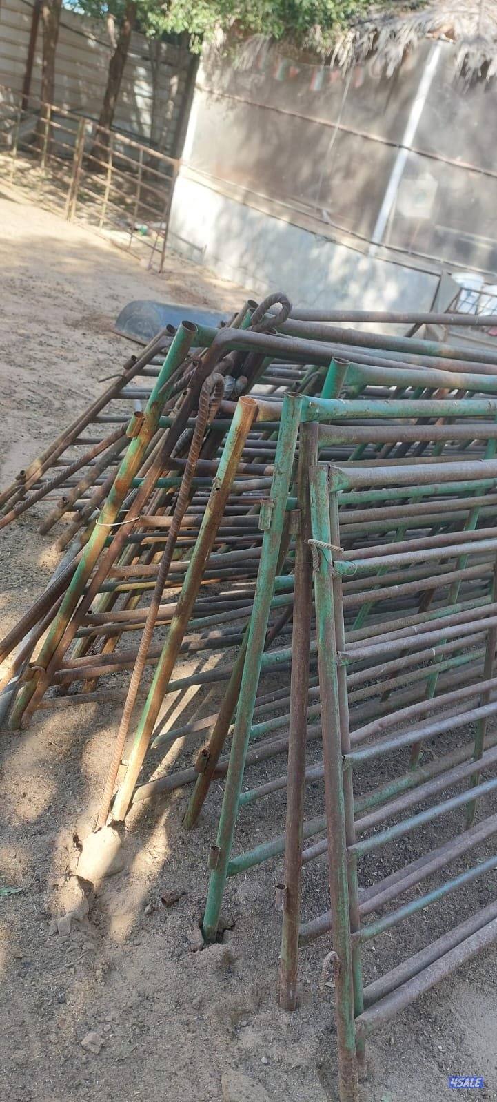 شبوك ورمبه للحلال5