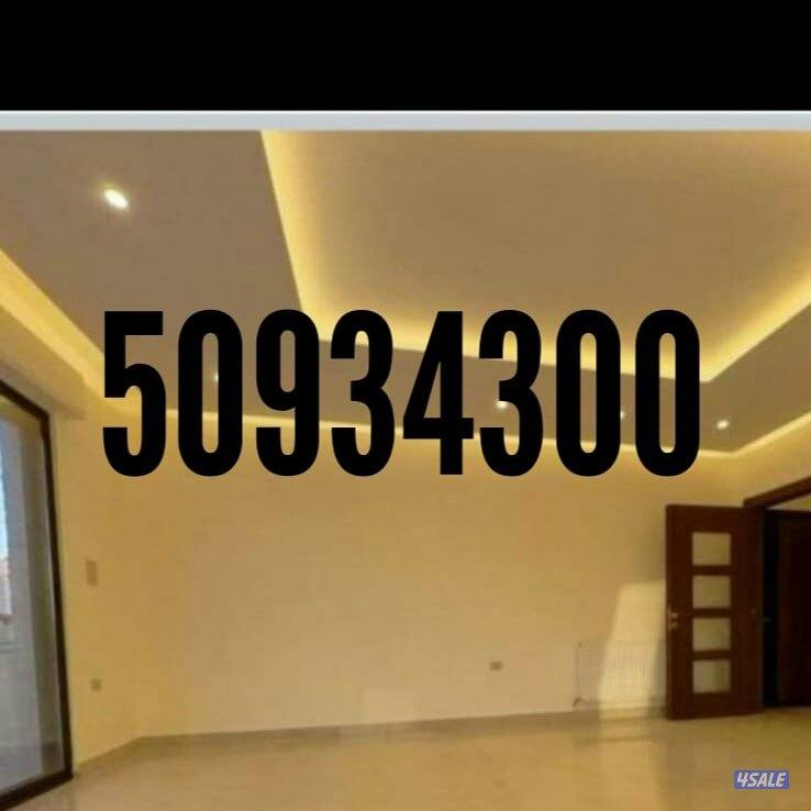 جبسون بورد بارديشن ديكور جبس باب خشب0