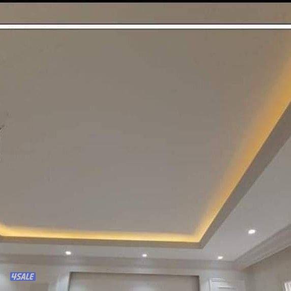 جبسون بورد بارديشن ديكور جبس باب خشب3