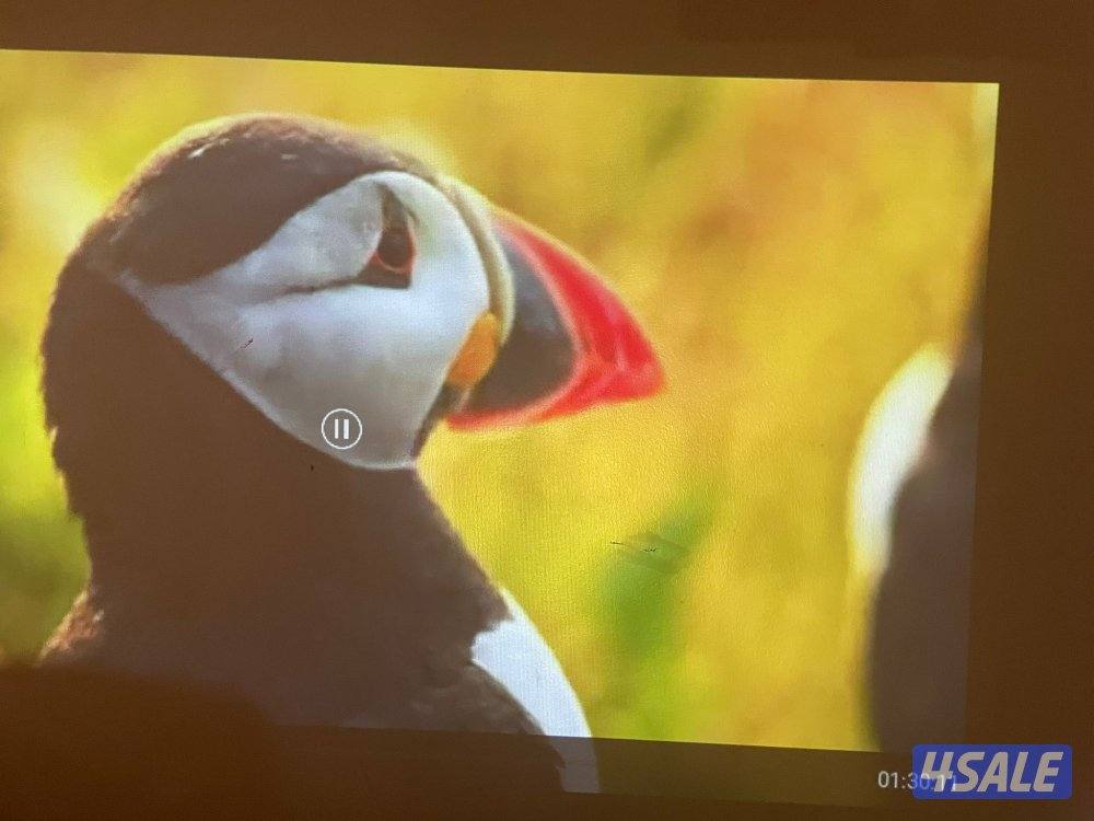 بروجكتر انبولا من انكر سمارت بطاريه ٤ ساعات3